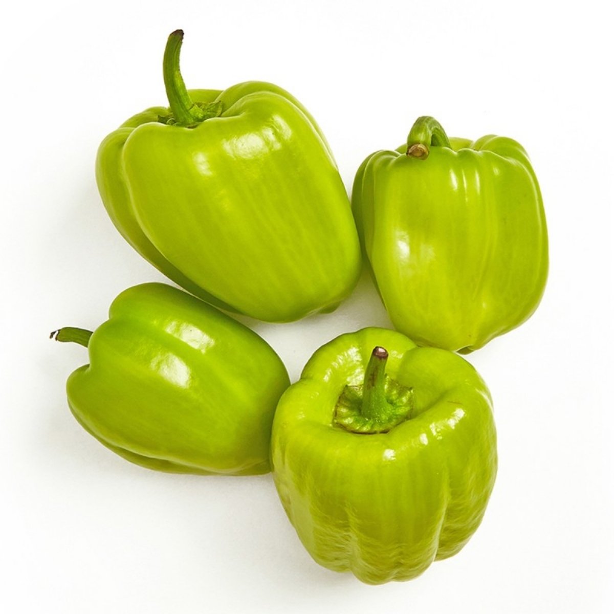 dik-dolma-biber